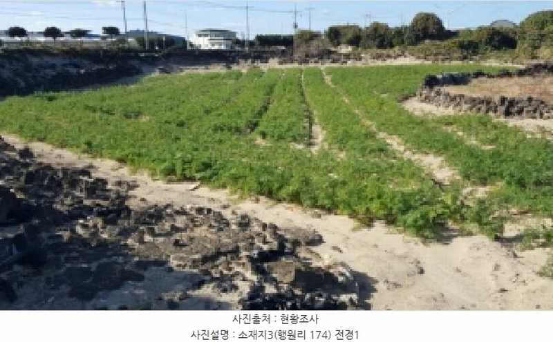 2025타경1789 제주특별자치도 제주시 구좌읍 행원리 174 농지 경매 이미지