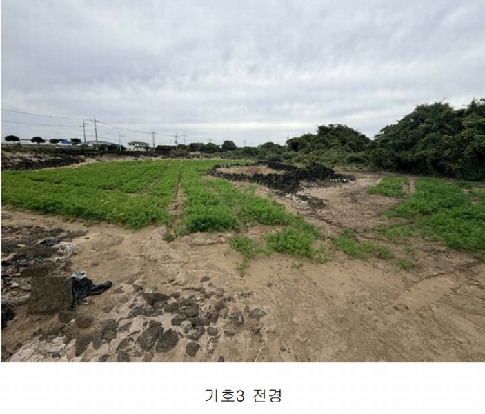 2025타경1789 제주특별자치도 제주시 구좌읍 행원리 174 농지 경매 이미지