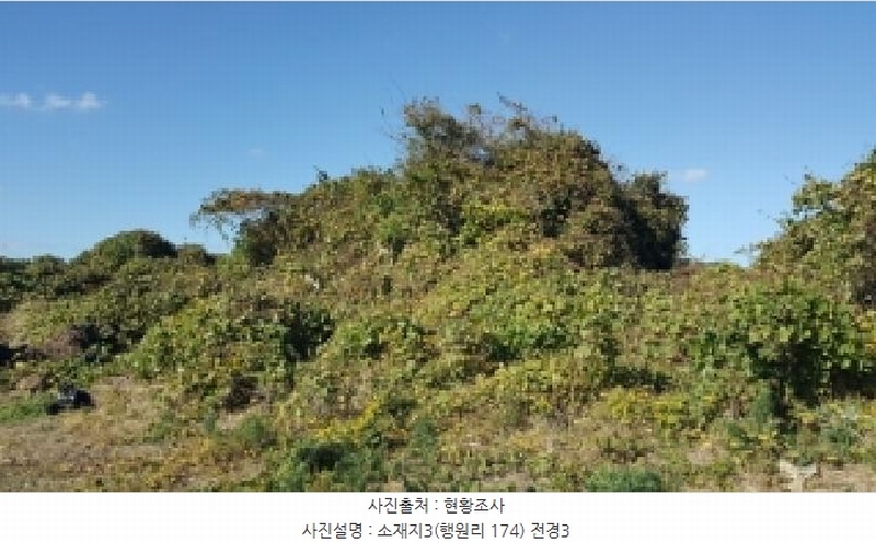 2025타경1789 제주특별자치도 제주시 구좌읍 행원리 174 농지 경매 이미지