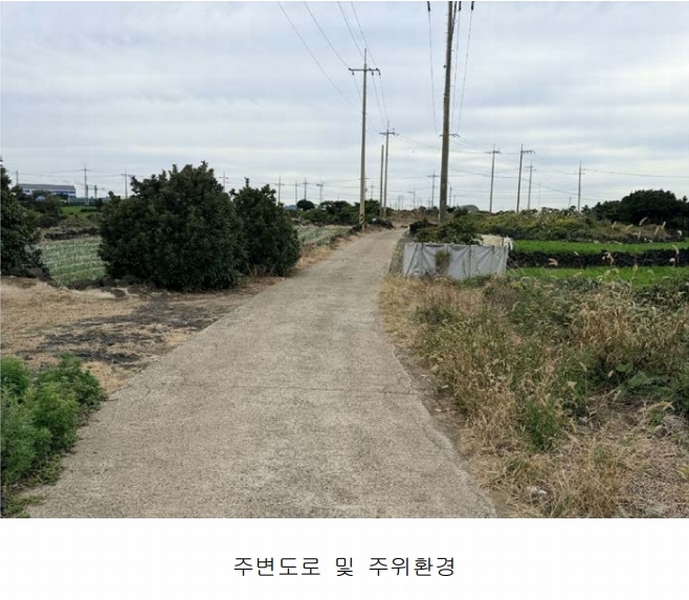 2025타경1789 제주특별자치도 제주시 구좌읍 행원리 157-1 농지 경매 이미지