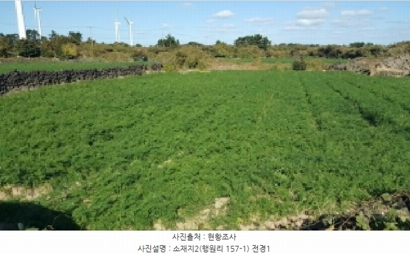 2025타경1789 제주특별자치도 제주시 구좌읍 행원리 157-1 농지 경매 이미지