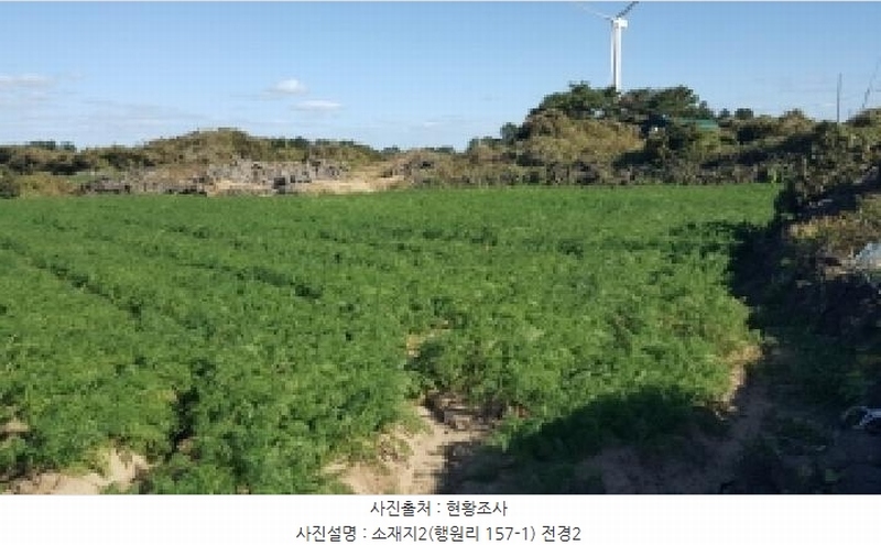 2025타경1789 제주특별자치도 제주시 구좌읍 행원리 157-1 농지 경매 이미지