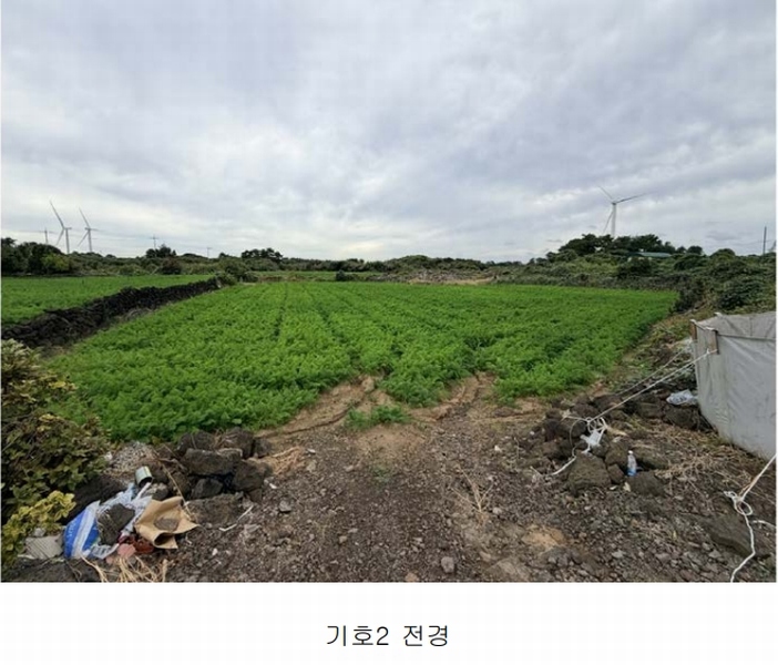 2025타경1789 제주특별자치도 제주시 구좌읍 행원리 157-1 농지 경매 이미지