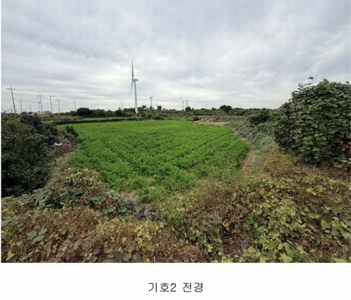 2025타경1789 제주특별자치도 제주시 구좌읍 행원리 157-1 농지 경매 이미지