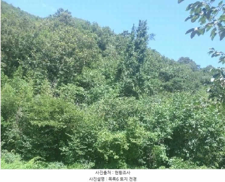 2025타경31471 전북특별자치도 완주군 구이면 백여리 251 농지 경매 이미지