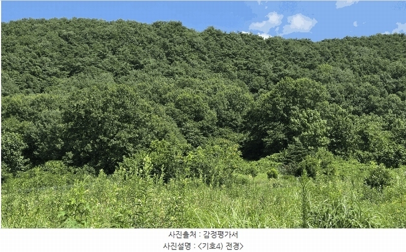 2025타경31471 전북특별자치도 임실군 임실읍 현곡리 산81-1 임야 경매 이미지