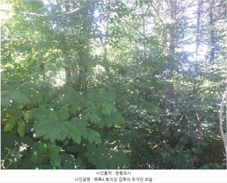 2025타경31471 전북특별자치도 임실군 임실읍 현곡리 산81-1 임야 경매 이미지
