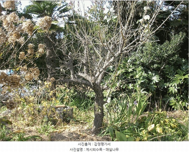 2025타경666 전라남도 여수시 소라면 죽림리 983-7 근린주택 경매 이미지