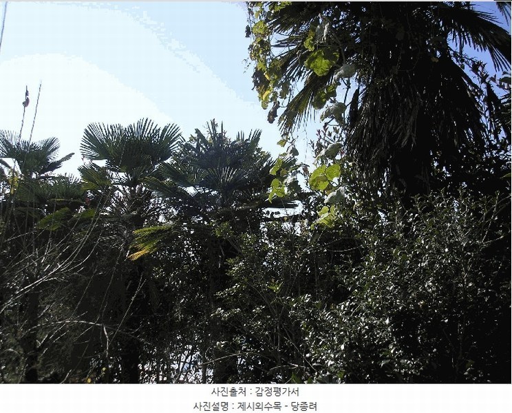 2025타경666 전라남도 여수시 소라면 죽림리 983-7 근린주택 경매 이미지