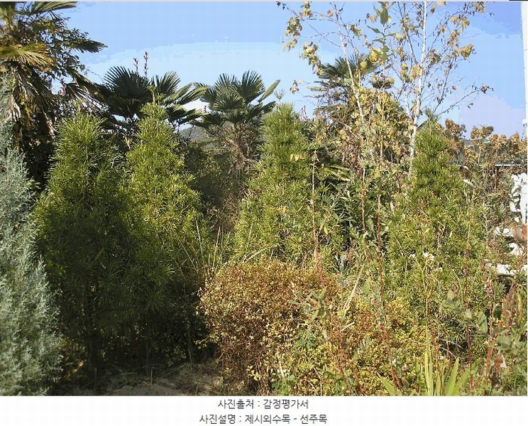 2025타경666 전라남도 여수시 소라면 죽림리 983-7 근린주택 경매 이미지
