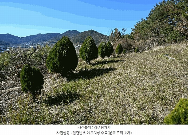 2025타경710 전라남도 여수시 돌산읍 둔전리 112-5 농지 경매 이미지