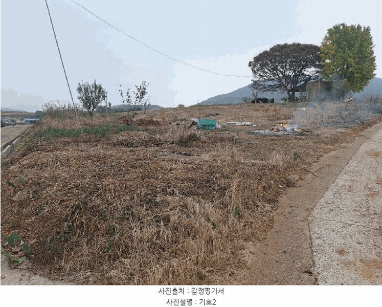 2025타경52138 전라남도 고흥군 남양면 망주리 1301-1 농지 경매 이미지