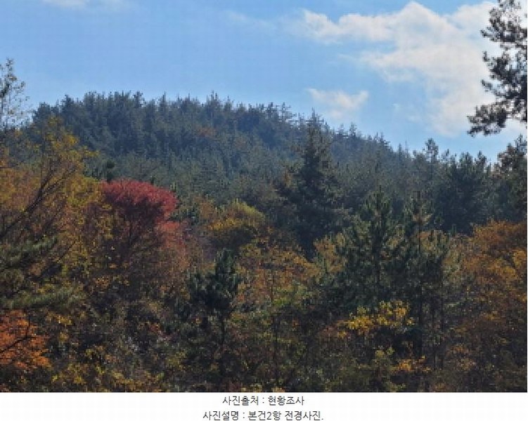 2025타경52254 전라남도 고흥군 두원면 용당리 산167 임야 경매 이미지