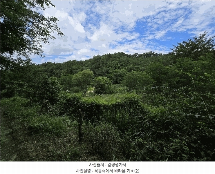 2025타경12149 충청남도 천안시 서북구 신당동 144-1 농지 경매 이미지