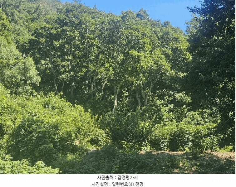2025타경606 경상남도 김해시 대동면 예안리 684 농지 경매 이미지