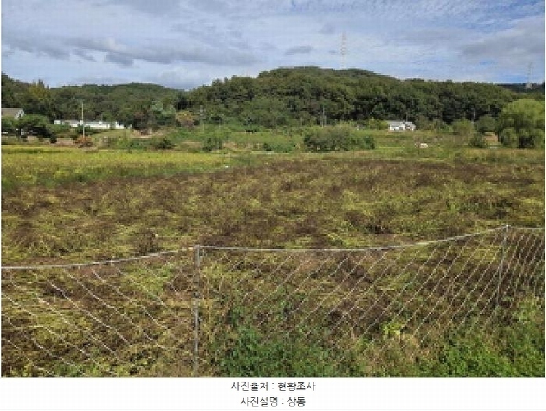 2025타경12474 충청남도 아산시 음봉면 동천리 69-3 농지 경매 이미지