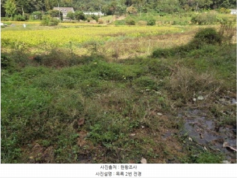 2025타경12474 충청남도 아산시 음봉면 동천리 69-3 농지 경매 이미지