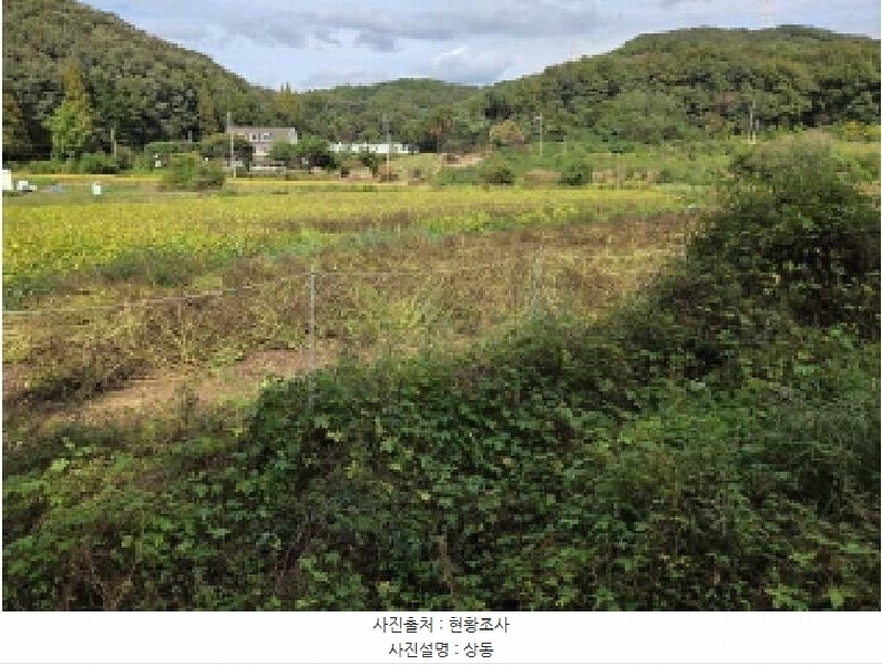 2025타경12474 충청남도 아산시 음봉면 동천리 69-3 농지 경매 이미지