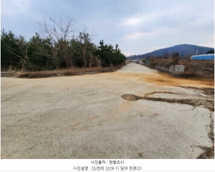 2024타경103983 경기도 화성시 송산면 신천리 산29-1 임야 경매 이미지