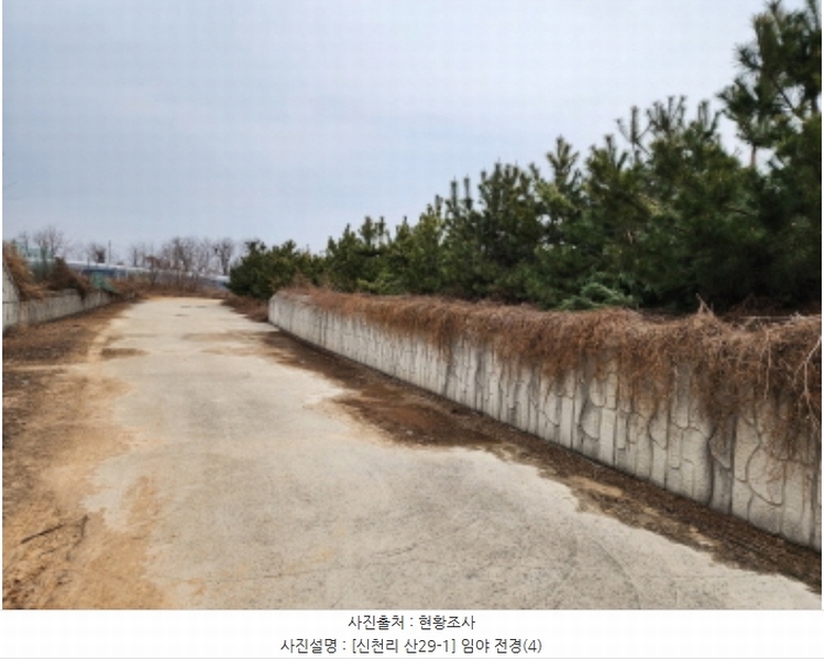 2024타경103983 경기도 화성시 송산면 신천리 산29-1 임야 경매 이미지