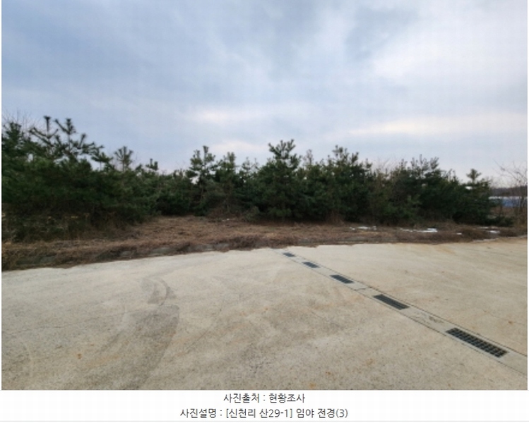 2024타경103983 경기도 화성시 송산면 신천리 산29-1 임야 경매 이미지