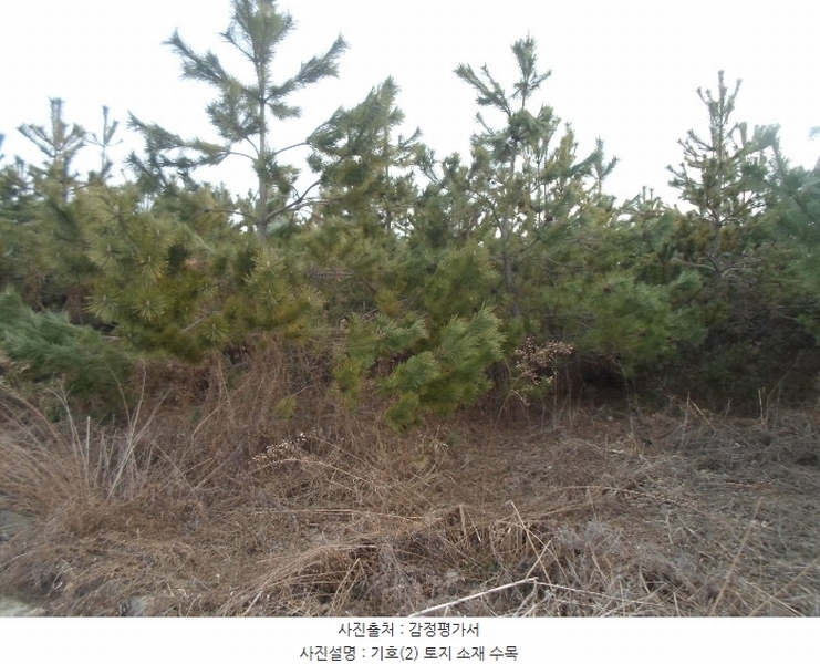 2024타경103983 경기도 화성시 송산면 신천리 산29-1 임야 경매 이미지