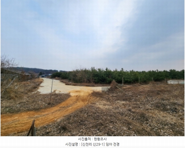 2024타경103983 경기도 화성시 송산면 신천리 산29-1 임야 경매 이미지