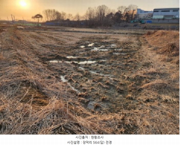 2025타경54443 경기도 화성시 남양읍 장덕리 564 농지 경매 이미지