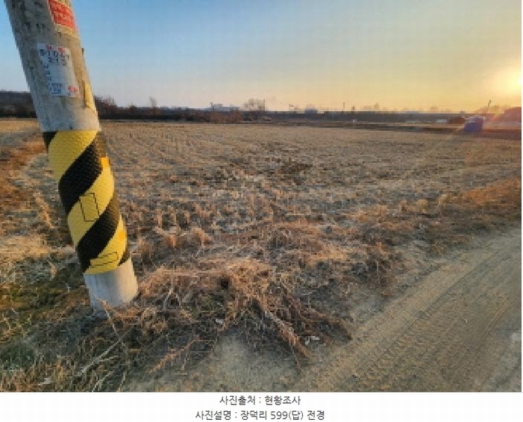 2025타경54443 경기도 화성시 남양읍 장덕리 564 농지 경매 이미지