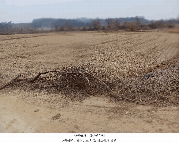 2025타경54443 경기도 화성시 남양읍 장덕리 564 농지 경매 이미지