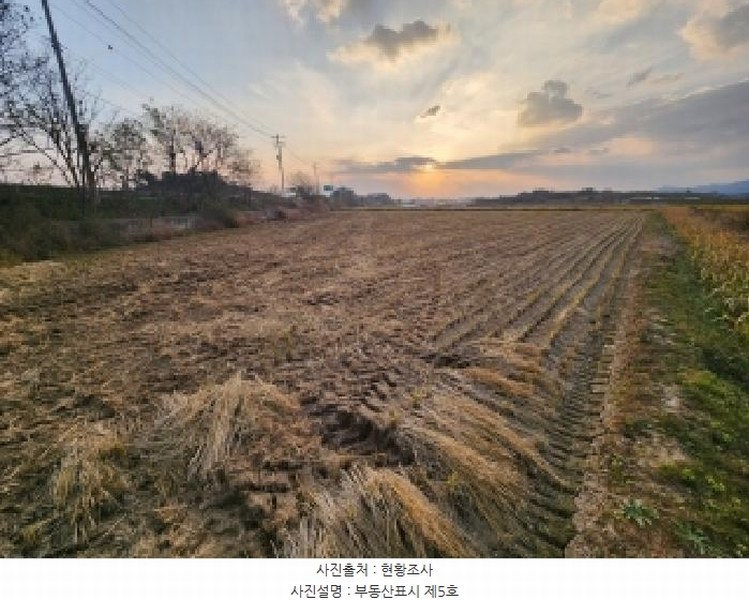 2025타경368 전북특별자치도 부안군 줄포면 대동리 1026 농지 경매 이미지