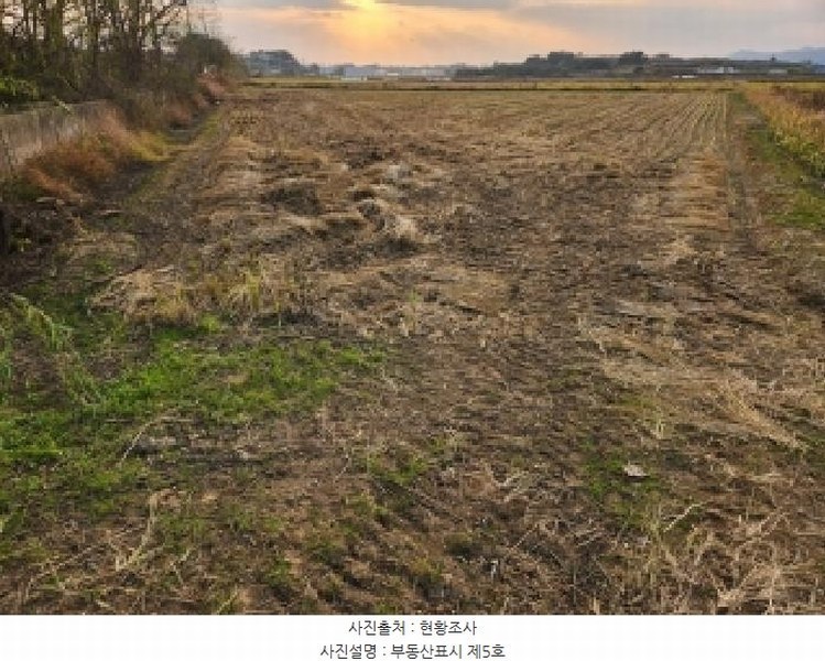 2025타경368 전북특별자치도 부안군 줄포면 대동리 1026 농지 경매 이미지
