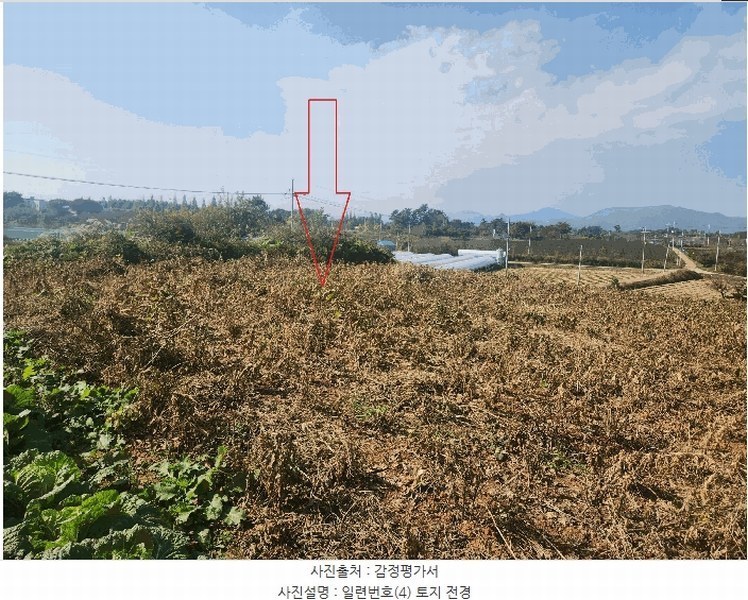 2025타경368 전북특별자치도 부안군 줄포면 파산리 758-39 농지 경매 이미지