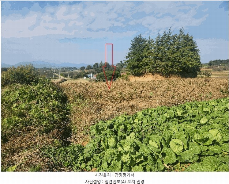 2025타경368 전북특별자치도 부안군 줄포면 파산리 758-39 농지 경매 이미지