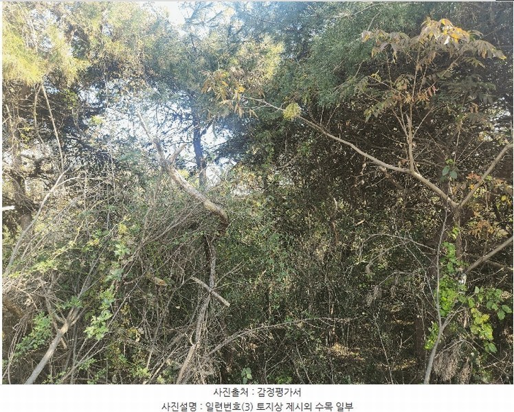2025타경368 전북특별자치도 부안군 줄포면 파산리 758-24 농지 경매 이미지