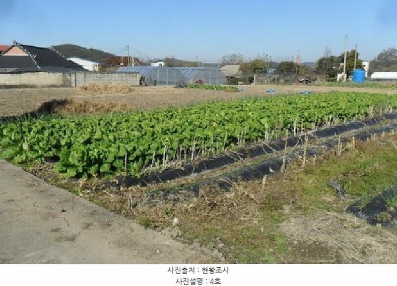 2025타경30474 전북특별자치도 정읍시 칠보면 시산리 1037-1 농지 경매 이미지
