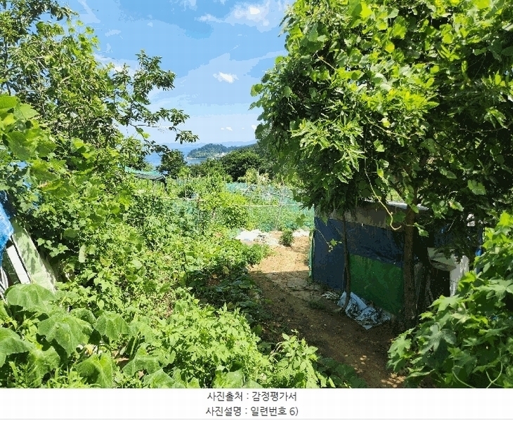 2025타경21681 경상남도 거제시 사등면 사곡리 산69-48 농지 경매 이미지