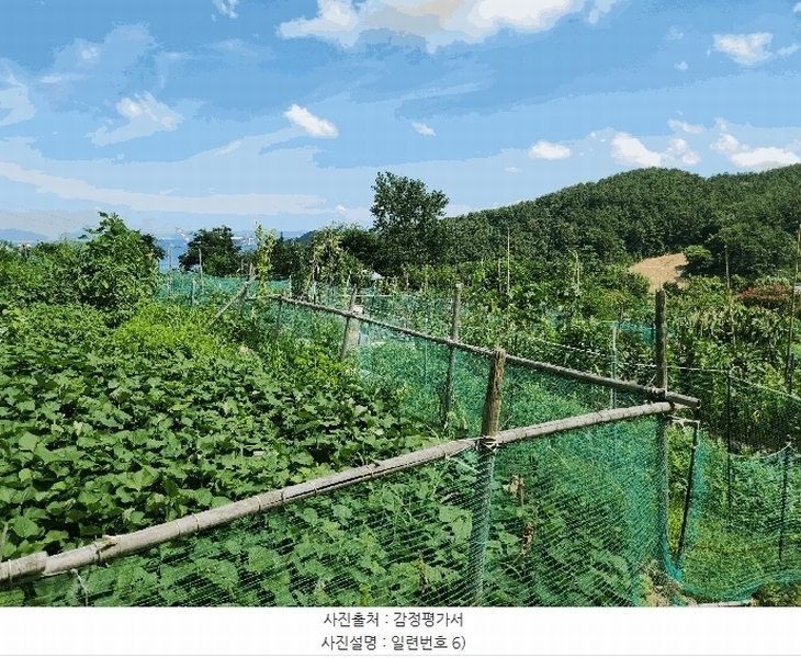 2025타경21681 경상남도 거제시 사등면 사곡리 산69-48 농지 경매 이미지