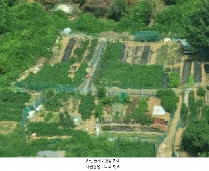 2025타경21681 경상남도 거제시 사등면 사곡리 산69-48 농지 경매 이미지