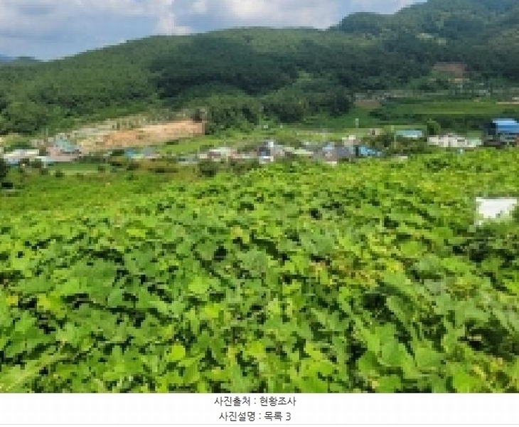 2025타경21681 경상남도 거제시 사등면 사곡리 산69-48 농지 경매 이미지