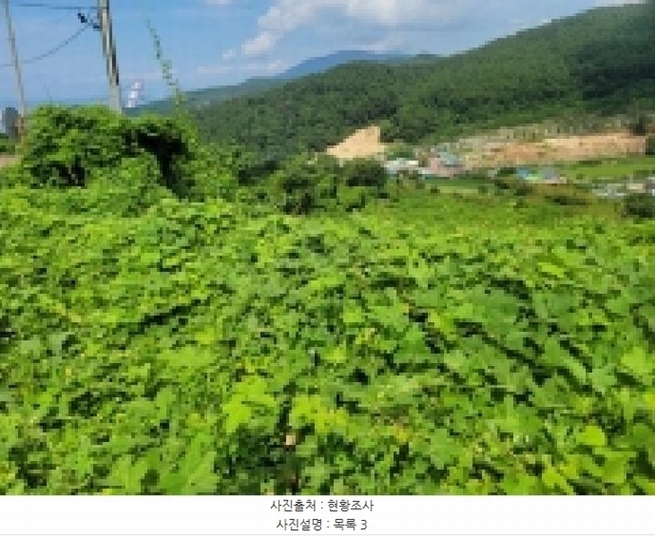 2025타경21681 경상남도 거제시 사등면 사곡리 산69-48 농지 경매 이미지