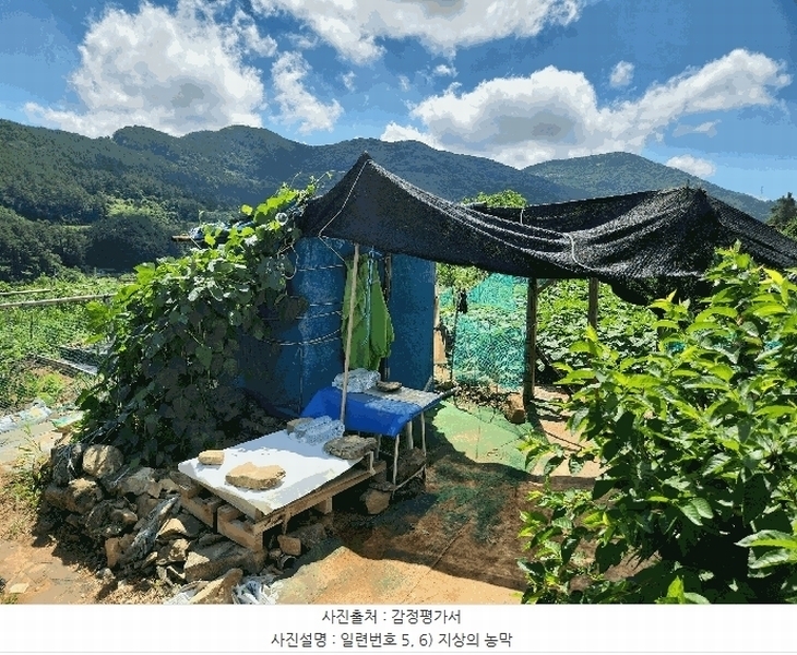 2025타경21681 경상남도 거제시 사등면 사곡리 산69-48 농지 경매 이미지