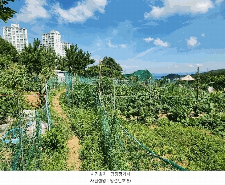 2025타경21681 경상남도 거제시 사등면 사곡리 산69-48 농지 경매 이미지