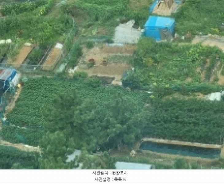 2025타경21681 경상남도 거제시 사등면 사곡리 산69-48 농지 경매 이미지