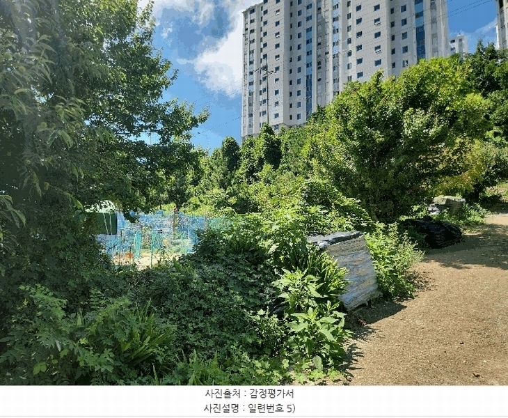 2025타경21681 경상남도 거제시 사등면 사곡리 산69-48 농지 경매 이미지