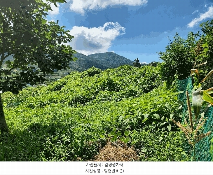 2025타경21681 경상남도 거제시 사등면 사곡리 산69-48 농지 경매 이미지