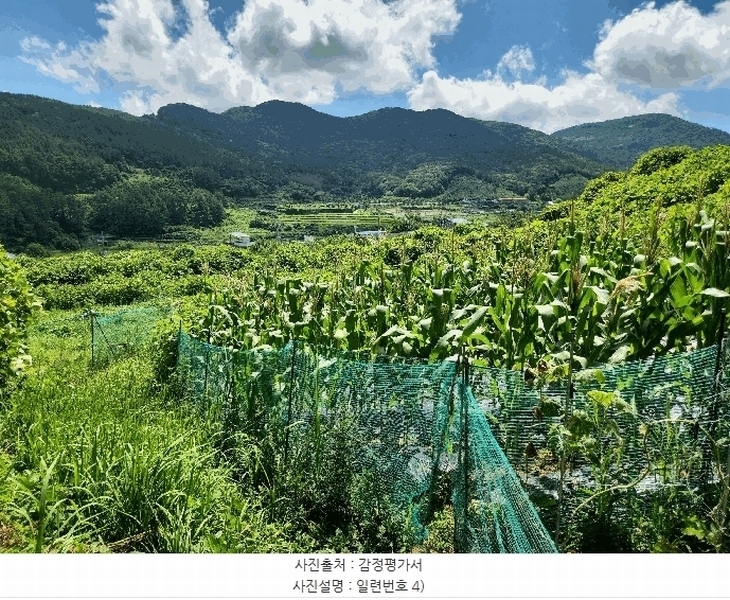 2025타경21681 경상남도 거제시 사등면 사곡리 산69-48 농지 경매 이미지