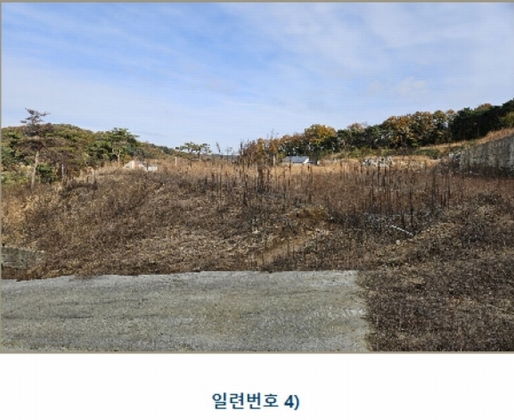 2024타경1886 충청남도 논산시 은진면 시묘리 326-2 임야 경매 이미지