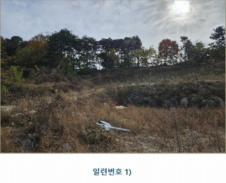 2024타경1886 충청남도 논산시 은진면 시묘리 326-2 임야 경매 이미지