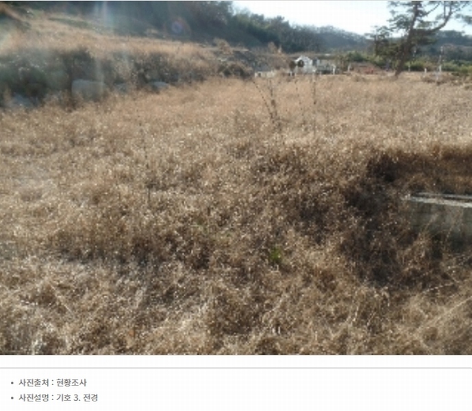 2024타경1886 충청남도 논산시 은진면 시묘리 326-2 임야 경매 이미지